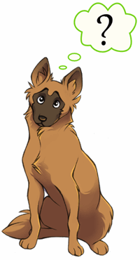 sage the dog thinking