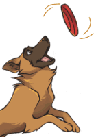 dog  flipping frisbee